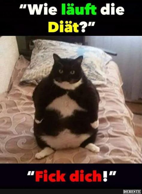 ㆍ (@fcbian94) on Twitter photo 