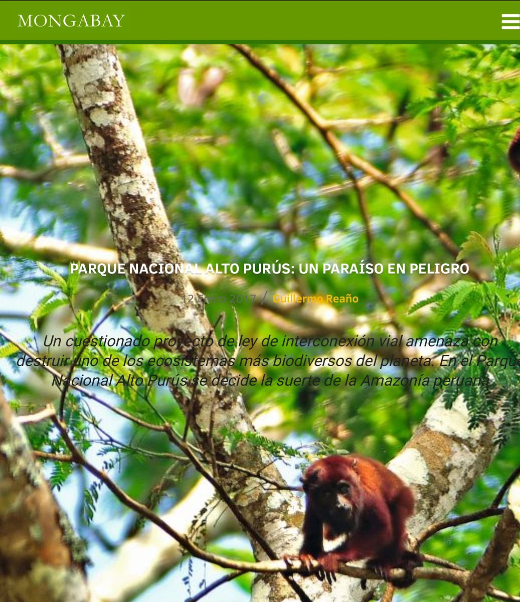 PN Alto #Purús: Un Paraíso En Peligro - por Wili Reaño (<a href="/ViajerosPeru/">Wili Reaño</a>) #Deforestación.. Cc TubinoCarlos dld.bz/fVH2H