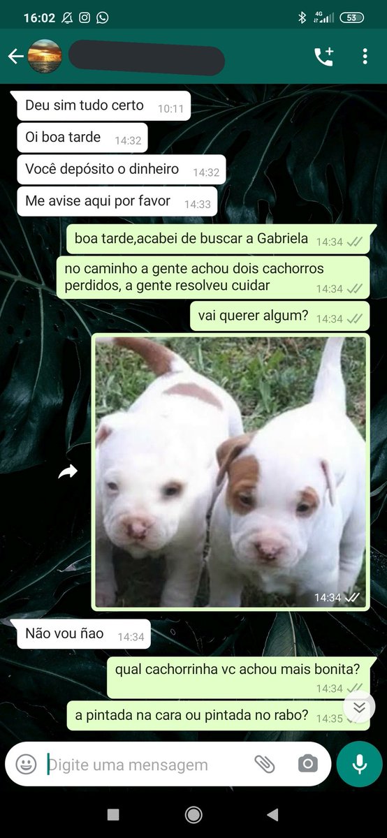 minha conversa com um golpista