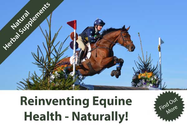 Reinventing Animal Health - Naturally - mailchi.mp/ac1a6b9af695/r…
#animalsupplements #naturalhealth #equinehealth