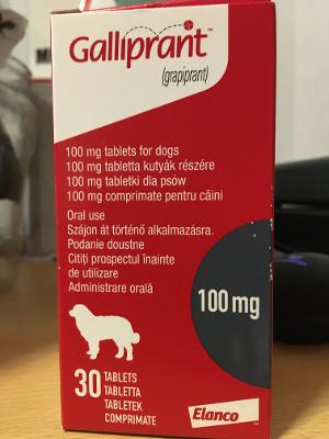 ElaineMBall's tweet photo. Any opinions @ProfNoelFitz @fitzpatrickref  on #Galliprant &amp; how useful for #GermanShepherd with lumbosacral disease combined with Paracetamol &amp; Gabapentin? https://t.co/SihvoELdbs