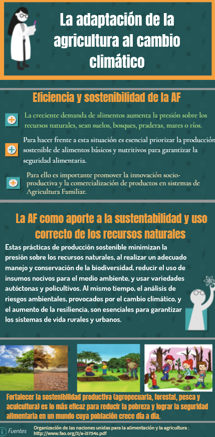 Viviana Calle tweet media