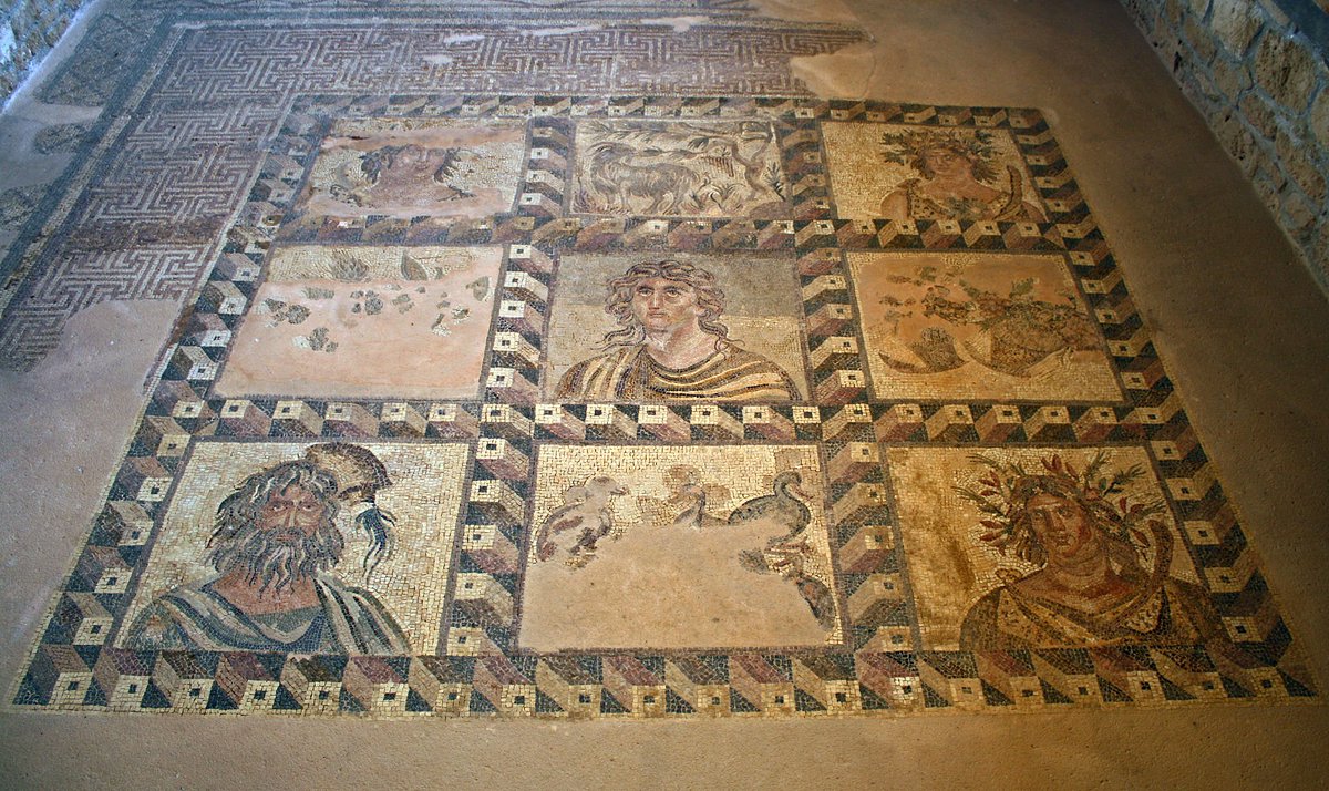 Dr Carla Ardis tweet media