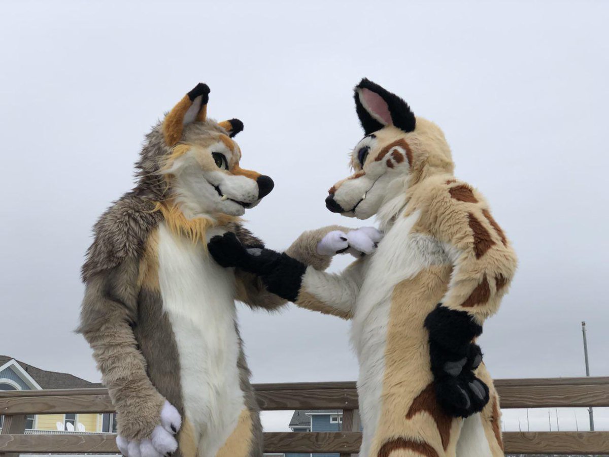 WarriorYote's tweet photo. Seems appropriate to participate in #sybermonday
Thanks @syberwuff for making these critters a reality :3 https://t.co/BWXpdqe5hP