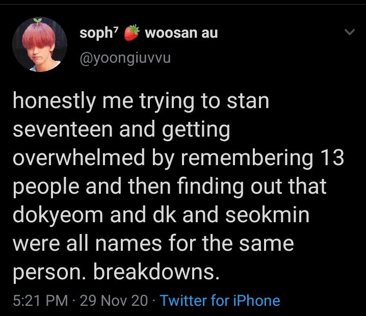 carat struggle tweets (@caratstruggles) on Twitter photo 