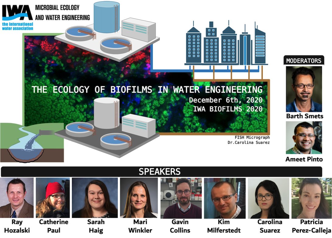 mewe_iwa's tweet photo. Join us for "The Ecology of Biofilms in Water Engineering" workshop at #IWABiofilms2020. We will delve into deep questions like "what do we know, why do we care, &amp; what next?"  with help from our expert panel. 
Register here!
https://t.co/hzdXktOyi2 https://t.co/qXj5EZFHBK