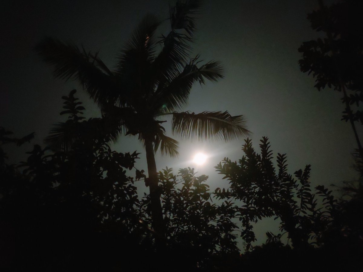 Sev_Khamani's tweet photo. Kyonki Chand mohobbat hai😍🌙❤️#MoonFC🌙 https://t.co/heXlQ1AntV