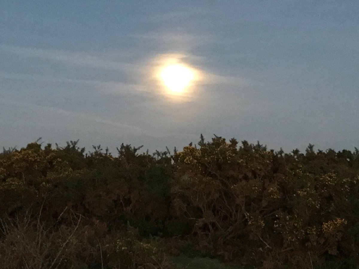 Claridge tweet media