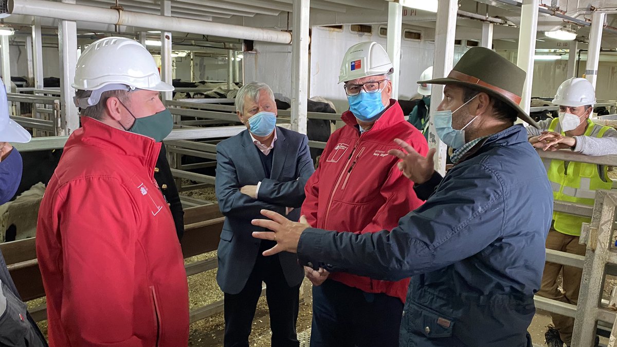 Empormontt1's tweet photo. Hoy fuimos invitados a conocer al carguero #AnnaMarra que se encuentra realizando la operación de embarque de 12.000 cabezas de ganado en pie hacía China 🇨🇳 | Con este se cumple el tercer embarque de este año 2020 desde nuestro puerto en #PuertoMontt https://t.co/26gyi6mQYE