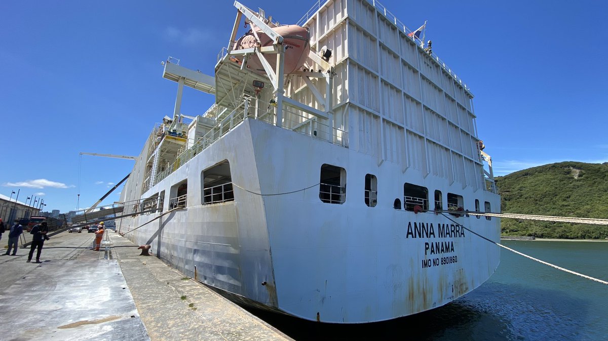Empormontt1's tweet photo. Hoy fuimos invitados a conocer al carguero #AnnaMarra que se encuentra realizando la operación de embarque de 12.000 cabezas de ganado en pie hacía China 🇨🇳 | Con este se cumple el tercer embarque de este año 2020 desde nuestro puerto en #PuertoMontt https://t.co/26gyi6mQYE