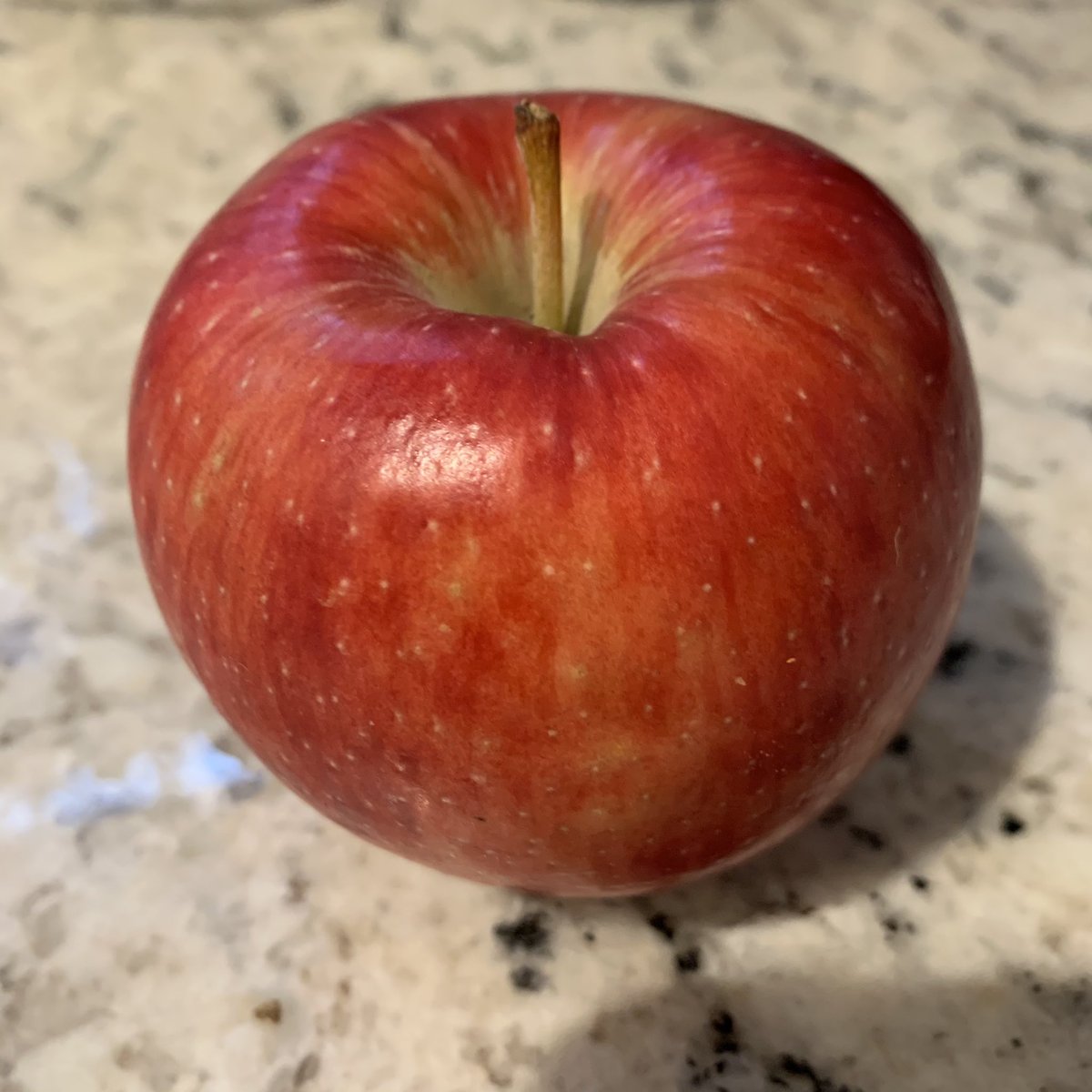 Juici - 2017, Washington. honeycrisp x Braeburn. It *is* juicy, with a fairly sweet, somewhat insipid flavor profile. It’s a honeycrisp knock-off, basically. It’s fine, but IMO lacks the depth / nuance of a truly great apple. 4/10