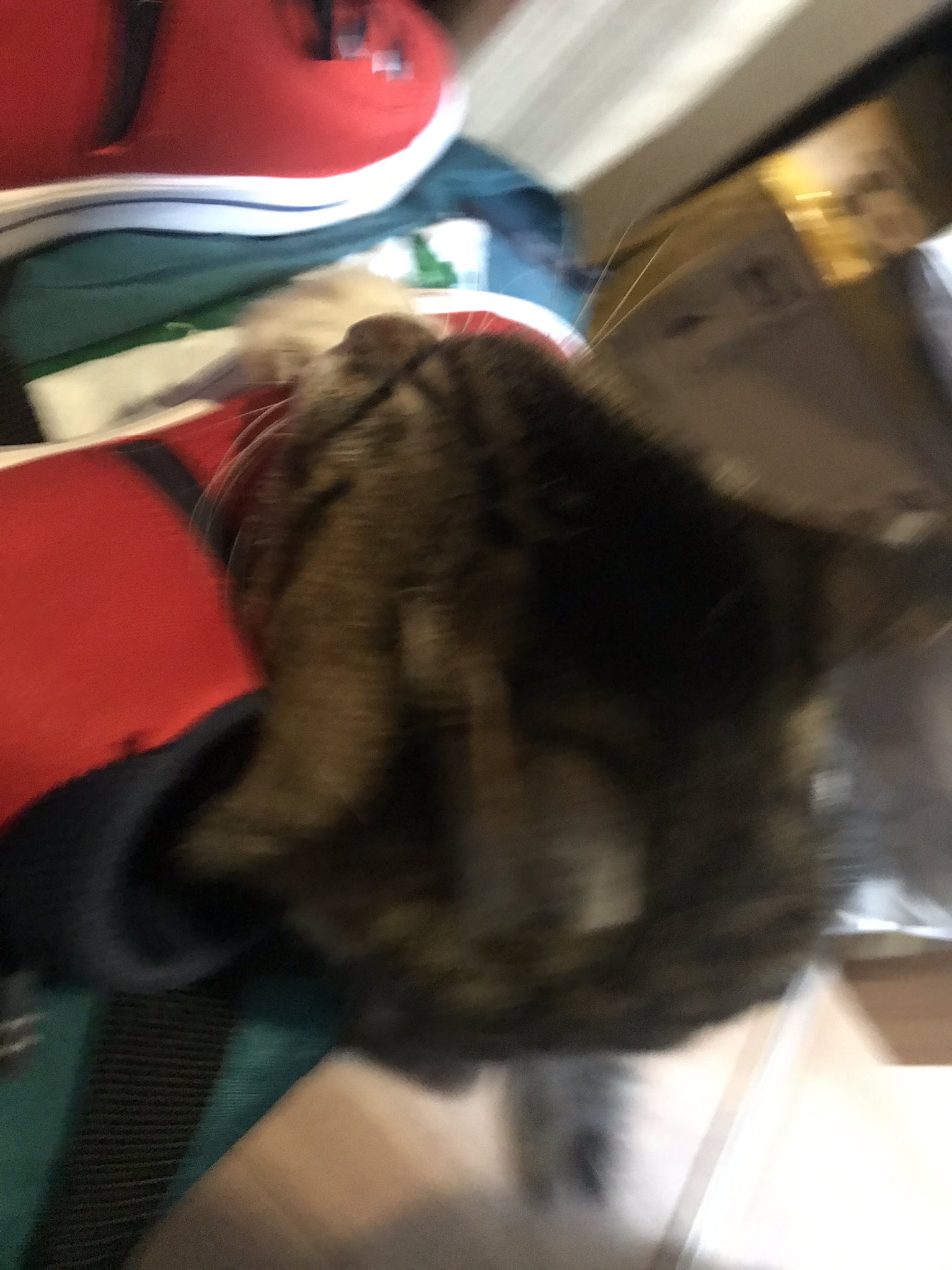 丸山カネキリカ ヤマダ あーっ お客様 いけません 困ります あーっ お客様 あーっ いけません お客様 お客様 困ります あーっ いけません お客様 あーっ いけません お客様 困ります あーっ いけません あーっ あーーっ 丸山カネキリカ ヤマダ あーっ お客様 いけません 困ります あーっ お客様 あーっ いけません お客様 お客様 困ります あーっ いけません お客様 あーっ いけません お客様 困ります あーっ いけません あーっ あーーっ