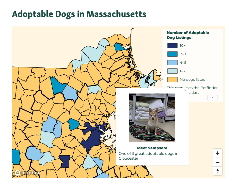 MAPCMetroBoston's tweet photo. In 2016, MA had the sixth-lowest rate of dog ownership in the country. But more people are adopting during the COVID pandemic: in April, @MspcaAngell reported a 20% increase in adoptions. 

But there are still adoptable dogs in MA! Find one near you: https://t.co/7rS5i95QKS https://t.co/f0EGf5E8WK