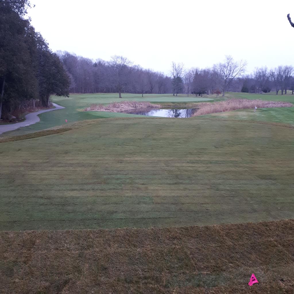 Blair Rennie tweet media