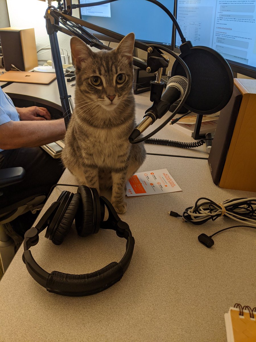 jhjones's tweet image. #Dragonkitty helping @BridgeMojo @mojo_la in the #studio this morning. 😸🐾🐈🎙️🎧♠️♥️♦️♣️