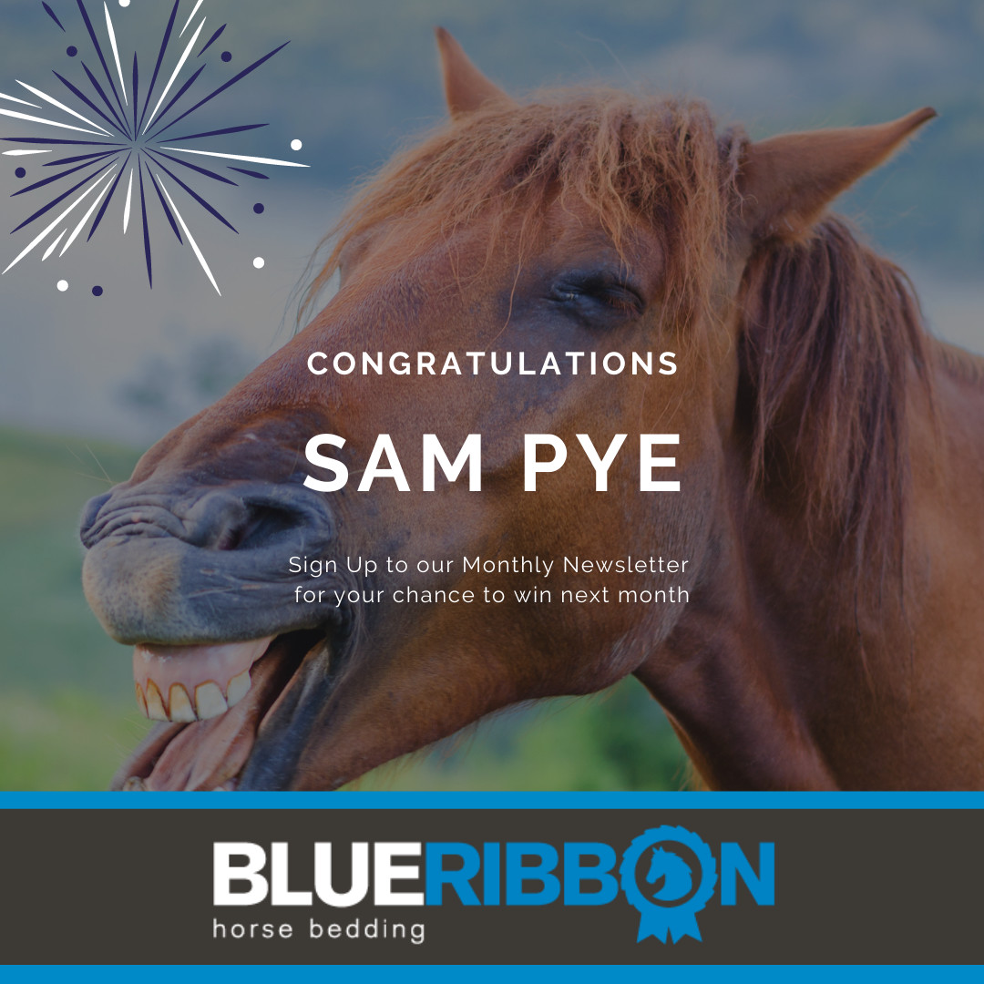 BeddingBlue tweet picture