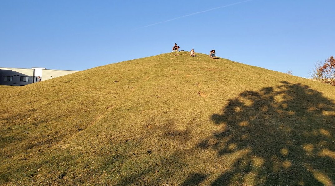 need to get out of the house? take the family to cardboard hill in renaissance park for simple and free fun! just sit on a piece of cardboard at the top of the hill and see how fast you can get to the bottom! 📦💨