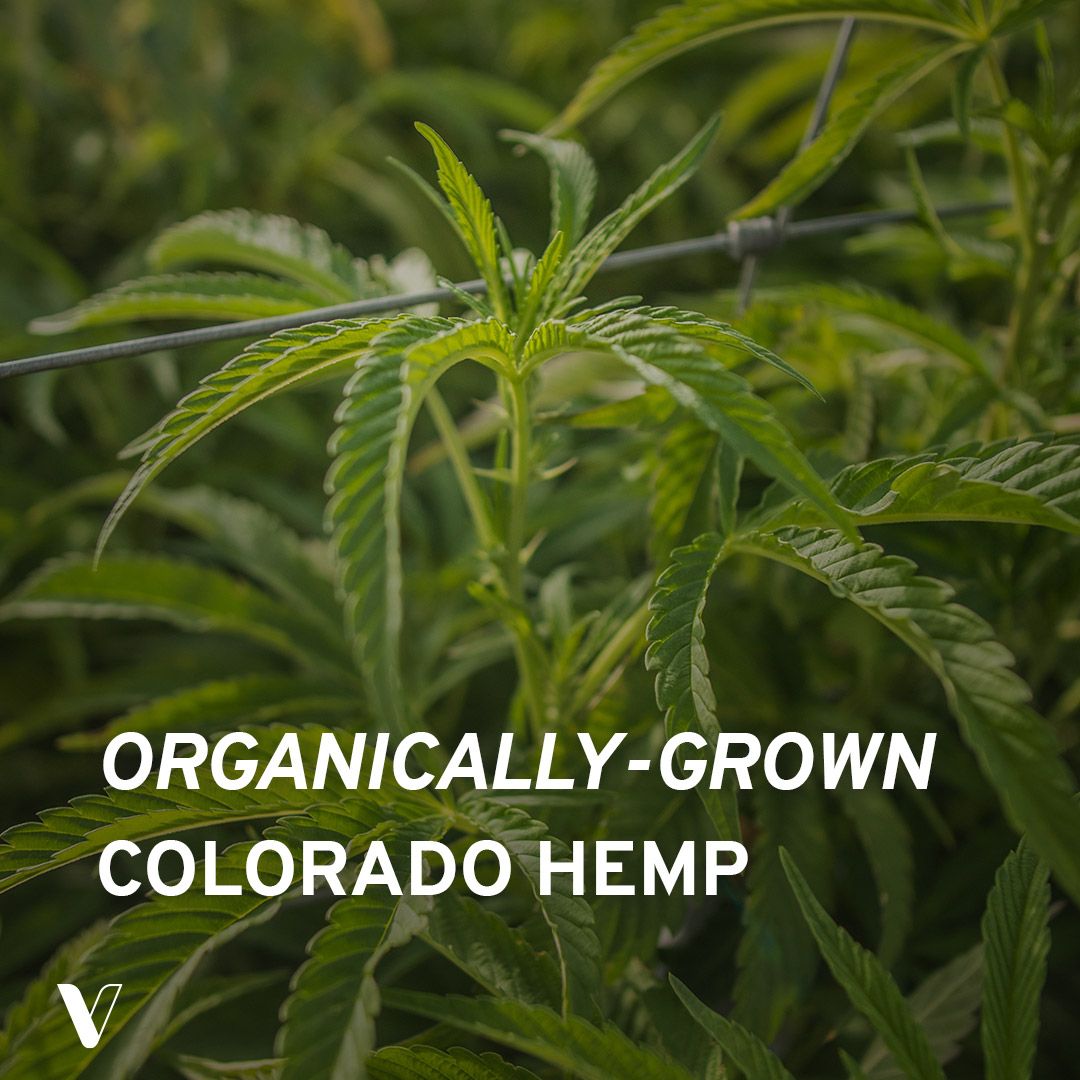 Do you know where your hemp comes from? 🤔 Our hemp is organically grown in Boulder County, CO. We use natural processes and quality is ensured by a 3rd party lab every time. 🌿 #hempoil #naturalwellness #hemplife #coloradohemp #longmontcolorado #fullspectrum #broadspectrum