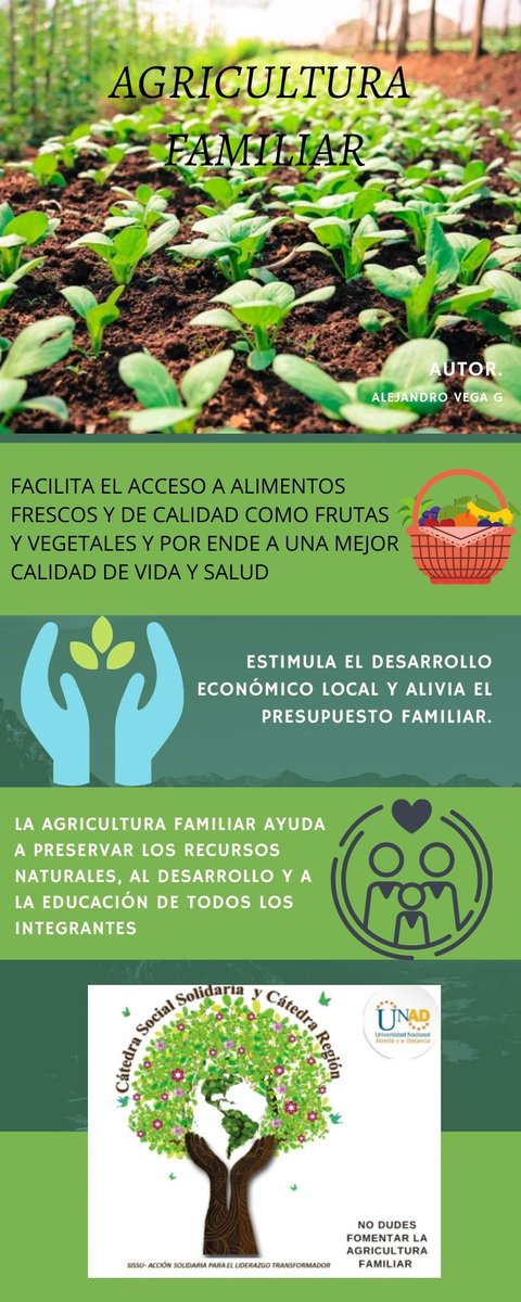 ALEJANDRO VEGA tweet media