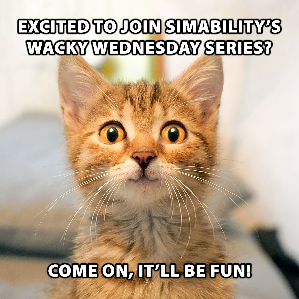 simability's tweet image. Come join our Wacky Wednesday Series on @iRacing! It’s open to sim racers of all abilities and skill levels. Round 1 is this Wednesday, Dec. 2, 2020, at 7pm EST. To learn more and join, please visit jacobsidman.com/wacky-wednesda….
#simability #levelplayingfield #simracing
