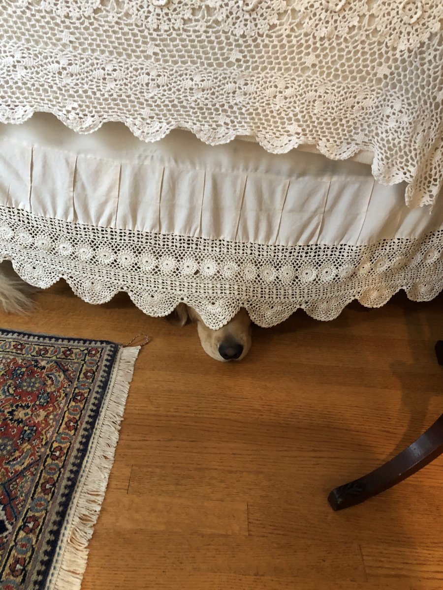 ewarren's tweet image. I call this the Monday after a long weekend look.