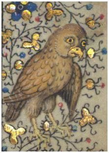 I’m having a murky day so here’s a thread of medieval owls