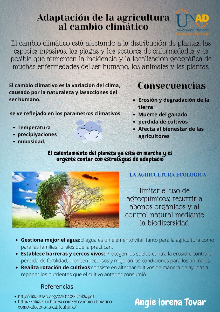 Angie Lorena tweet media