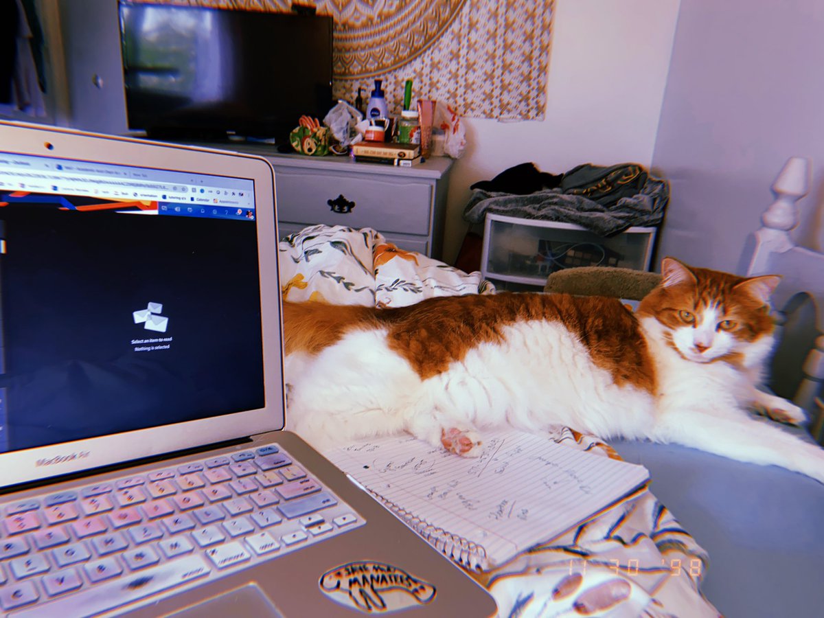 jenna lynn 💫 tweet media