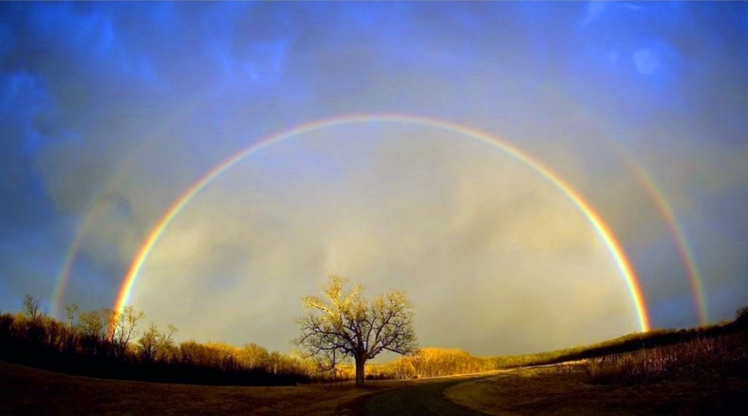 ReikiHealing18's tweet photo. The joy of seeing a rainbow is akin to the joy of sharing a smile. Smile brightly and let your light show others the way.@Courses4Summer @EventfulPepper @oonshogan @sparkplugcoach @ConefreyPharmac @AnswersAutism @PashPainter @HowGMW @troolsocial @RoycesMummyZoe @FlowCarer https://t.co/iOK2xUjPK9