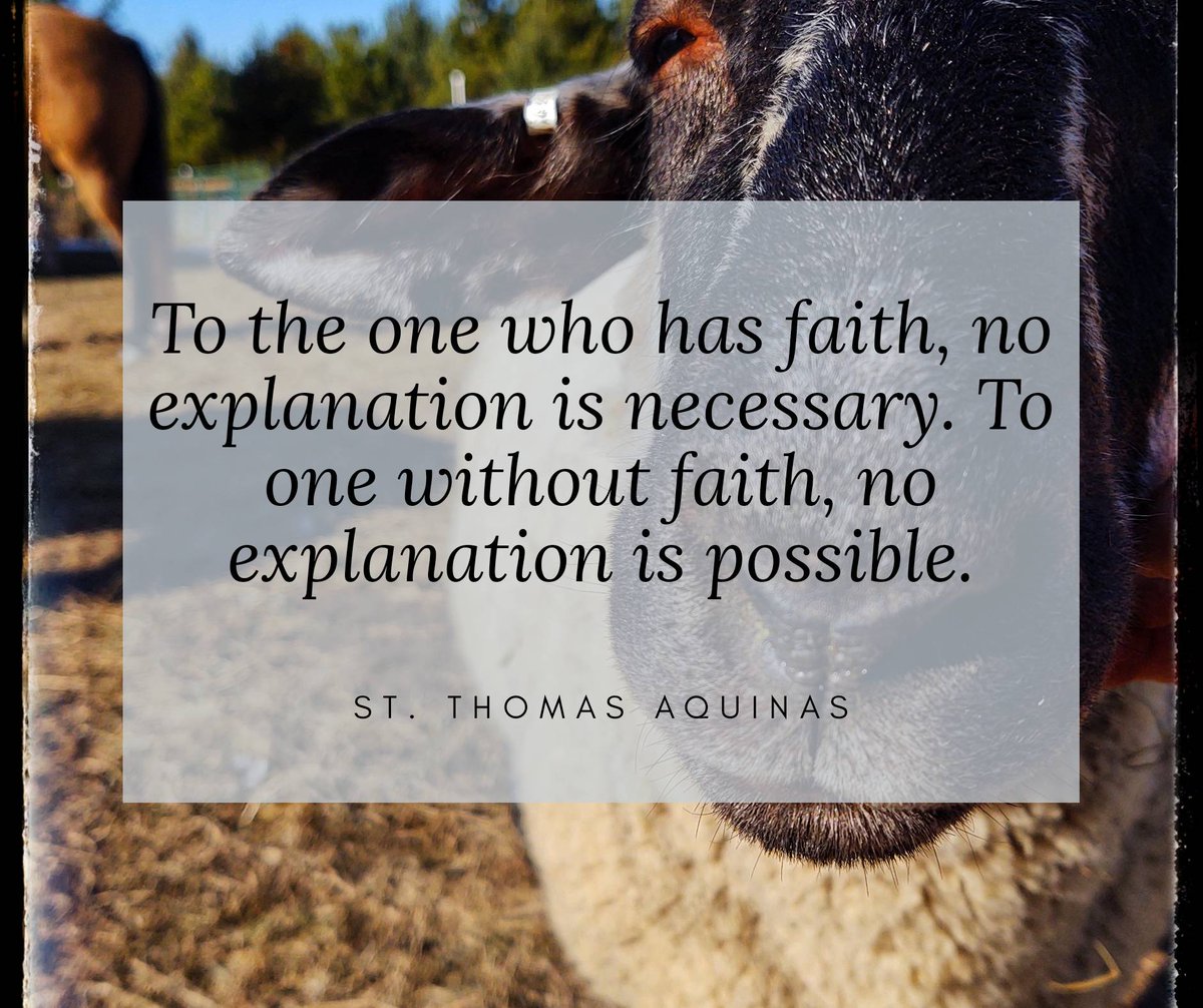 #MotivationMonday #containitgrowit