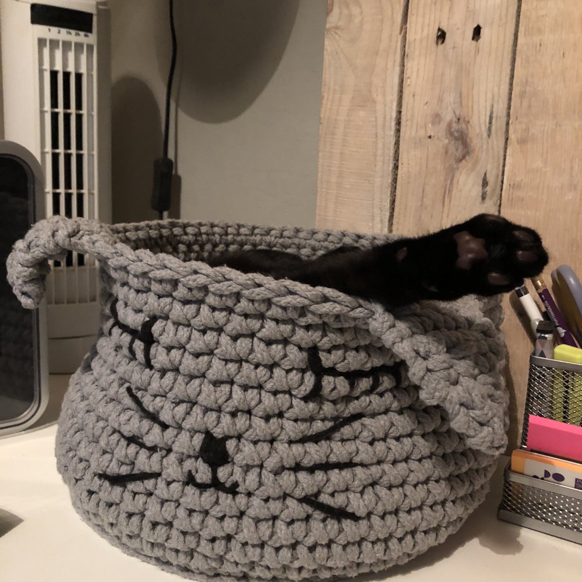 sarahhoughton65's tweet image. Just stretch out Marps if it’s getting a bit cramped in there #blackcat #kitten #tinycat