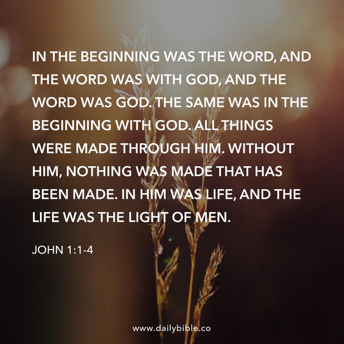 Today's #Bible #Verse – John 1:1-4