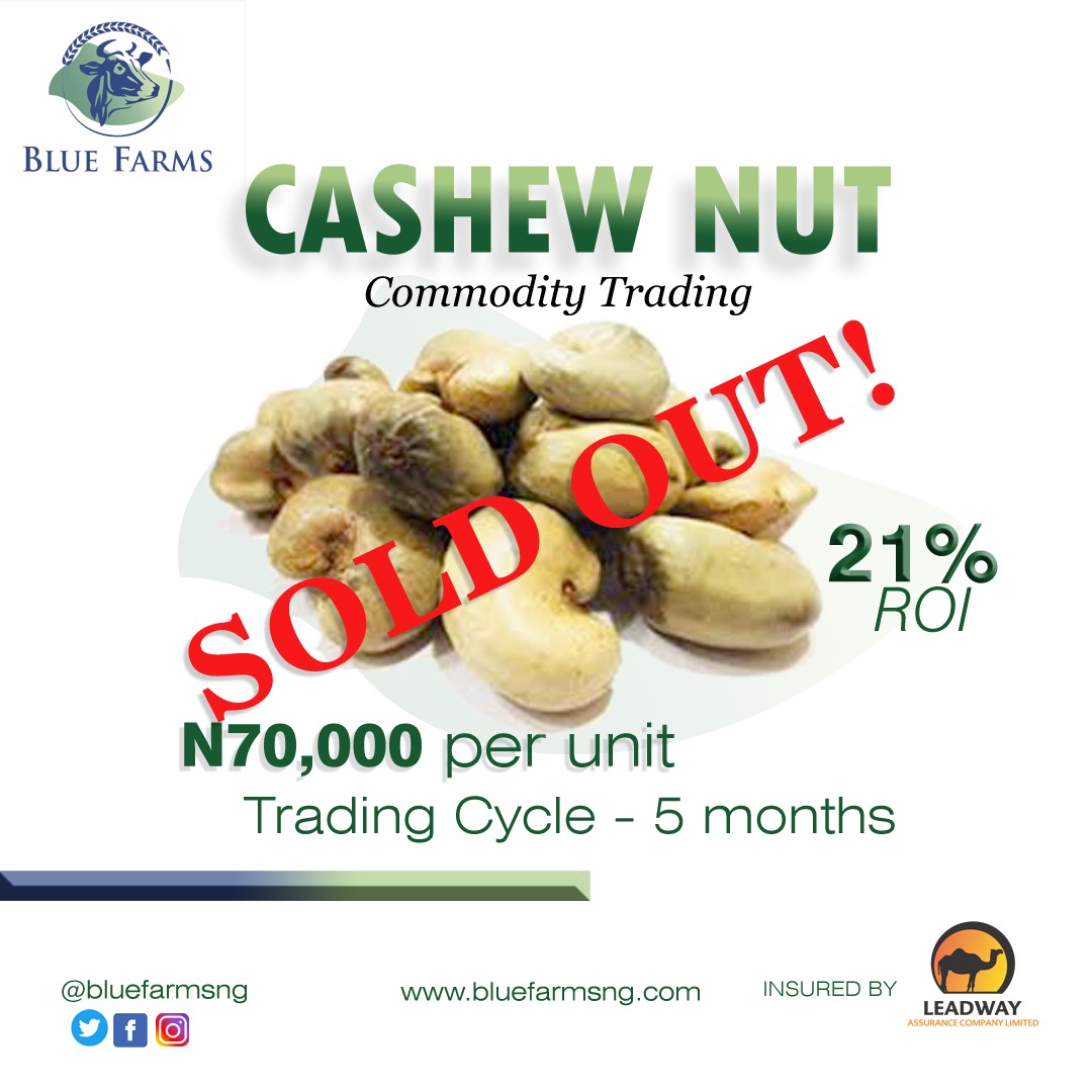 bluefarmsng's tweet photo. A big THANK YOU to all our esteemed investors and partners. Thanks for believing in us and choosing to do business with us. 

Our Cashew Nut, Ginger and Sesame seed commodities are sold out already. 
However Our Fish farm, Pig farm and hen farm is still open for investment. https://t.co/JCPkhf8oHH