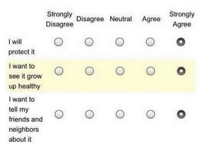 wants_cheese's tweet photo. Me after reading literally 1 chapter of Shallan POV #stormlightarchive #firstreadthrough https://t.co/qJNrO6k6BK