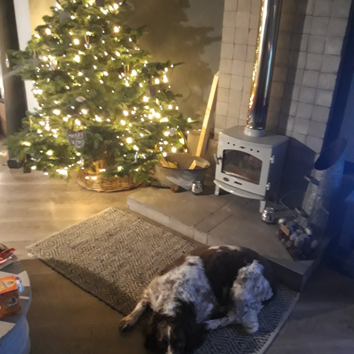 AdvanceWellUK's tweet photo. @deputygrocott You took the #recycling option @deputygrocott valiant effort and just for you #Arhhhh lol. It's real, cosy & I love it Heehee. π https://t.co/ecnvLGFAA6