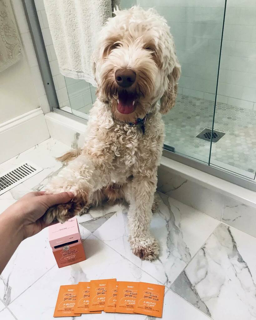 Happy Monday 🐶 hope you all had a great weekend! Have you tried our new wipes? Link in bio 🤩 instagr.am/p/CIORQzMFmke/