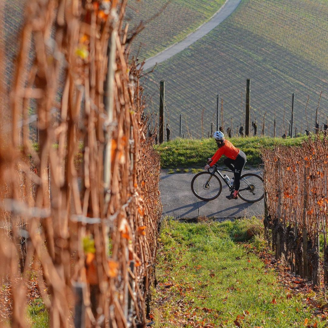 CyclingLocation's tweet image. "The leaves are slowly turning from red to brown and it’s getting colder ❄️"
📍 Würzburg, Germany
( via @luisasophiewer )
