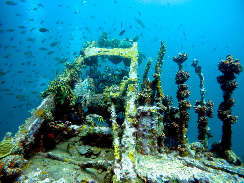 Whether purpose-sunk or accidental, #Grenada &amp; #Carriacou's wrecks are a Mecca for #marinelife and #coral growth. Watch <a href="/ScubaDiverMag/">Scuba Diver</a> 's awesome video about some of our wonderful wrecks: youtu.be/OWr9u_A1sHk #PureDiveFest #PureDiving #PureGrenada #ScubaDiving #WreckDiving