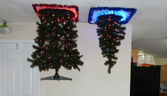 Protect your Christmas trees from cats.  #CatsHateChristmas