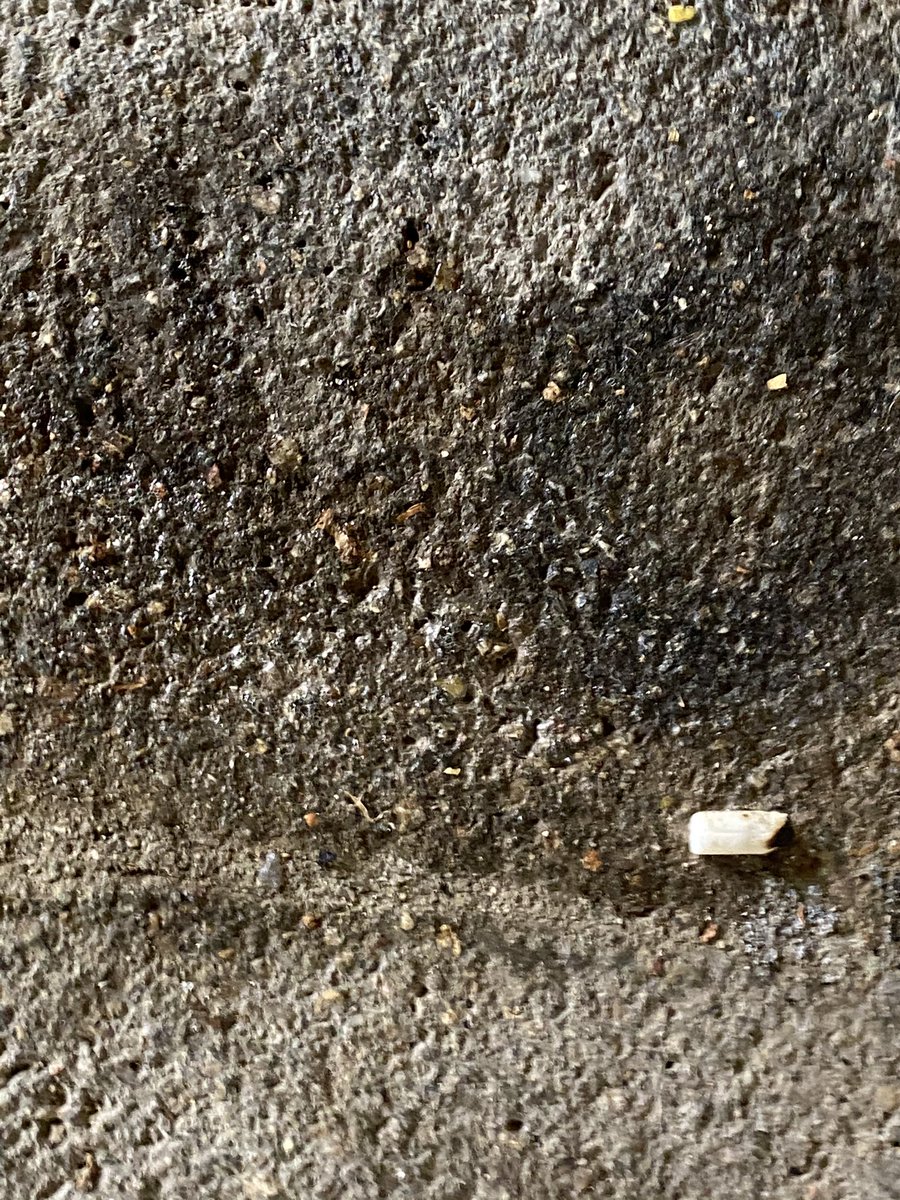 PabloSanchezsa's tweet photo. @LaAguadera #PrimeroBachArt #CuavPrimeroBach
#Cuav1Bach2021
#CuavEjercicio011
Haz 4 fotos que representen la #TexturaArtificial Son las que revelan las superficies del material con que están fabricados. Súbelas en un hilo contestando a este tweet. https://t.co/LKZmdChg4a