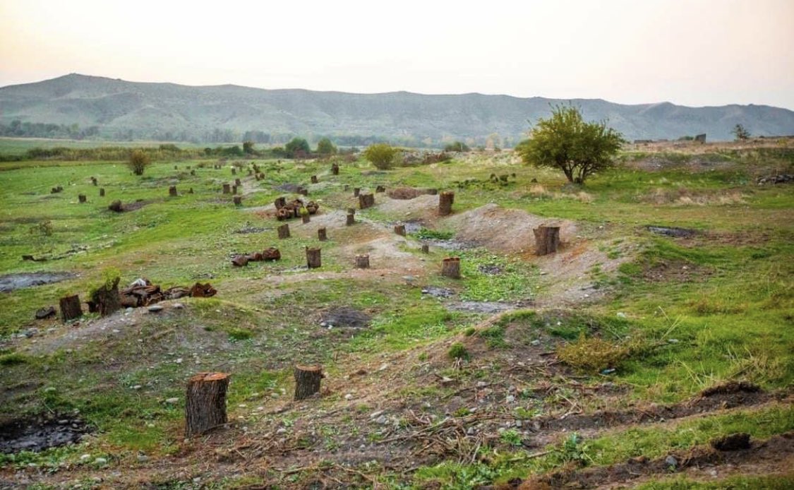 ibrahim99951818's tweet photo. #Armenia illegally seized 280k ha of #forests in #Azerbaijan and burns it as an act of retaliation. This is 25% of Azerbaijan’s forested area, 2 national parks, and 4 national nature reserves @WWF @WWFnews @Greenpeace @theGCF @UNEP @SFnewsnow @nytimes
@EnvDefenseFund @SierraClub https://t.co/qjT9FNW9Kk
