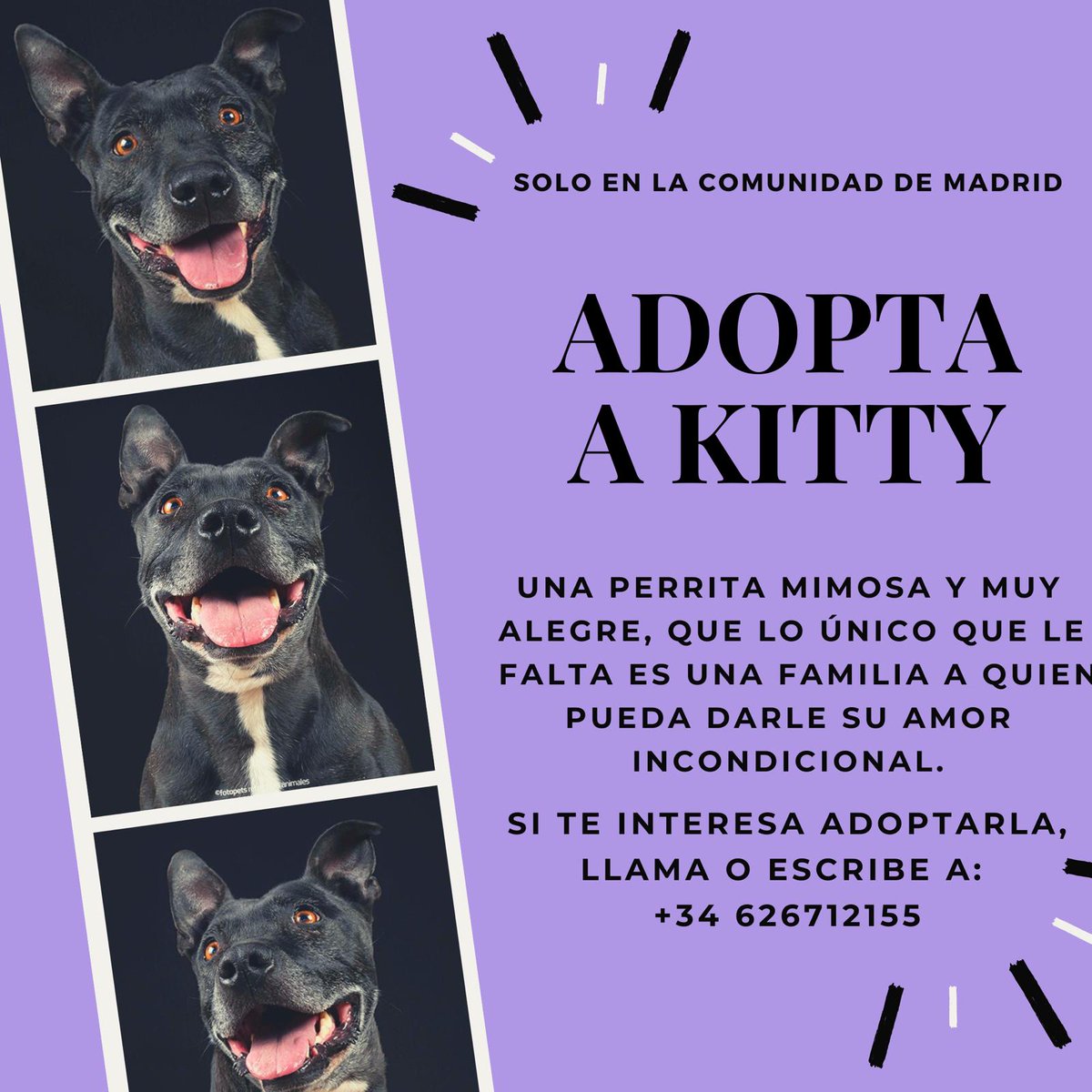 Por desgracia esto es algo que no para y cada día hay más casos, tenéis en las imágenes números de contacto o si queréis en <a href="/KarmaAnimal/">María Martín</a> más info.

RT POR FAVOR❤️
@silviaromera1 <a href="/TiendaEcoAnimal/">Herbolario para animales</a> <a href="/melisatuya/">melisatuya</a> <a href="/protemalaga/">Protectora de Málaga</a> <a href="/criptanaAni/">CriptanAnimal AP</a>