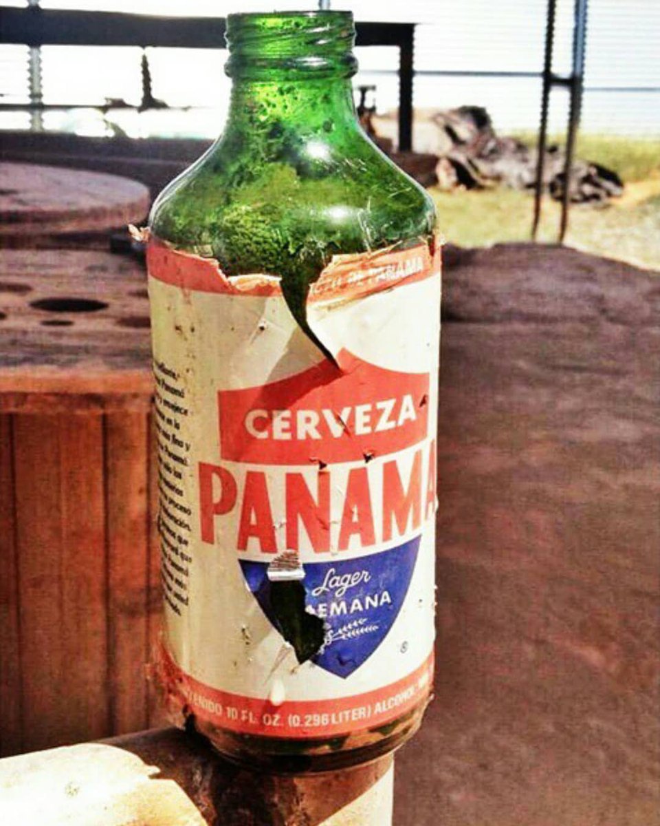 Desde hace más de 60 años #CervezaPanama 🍻 ha sido la favorita de todo el mundo por su calidad y este año gana OTRA medalla de oro Monde Selection 🏅🌎

Hoy lo celebramos con este #TBT 🍻 ¿Recuerdas esta botella? 

#ParteDeLoQueSomos #ConsumeResponsablemente