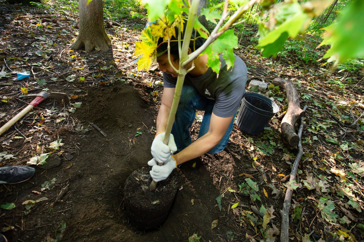 WilcoxDoor's tweet photo. Wilcox is extremely excited to announce our Partnership with @TreeCanada. Moving forward, any customer that is on a Preventative Maintenance Program and places a service call, a tree will be planted for each call!

#sustainability #environmentalresponsibility #environment https://t.co/7cstixe48G