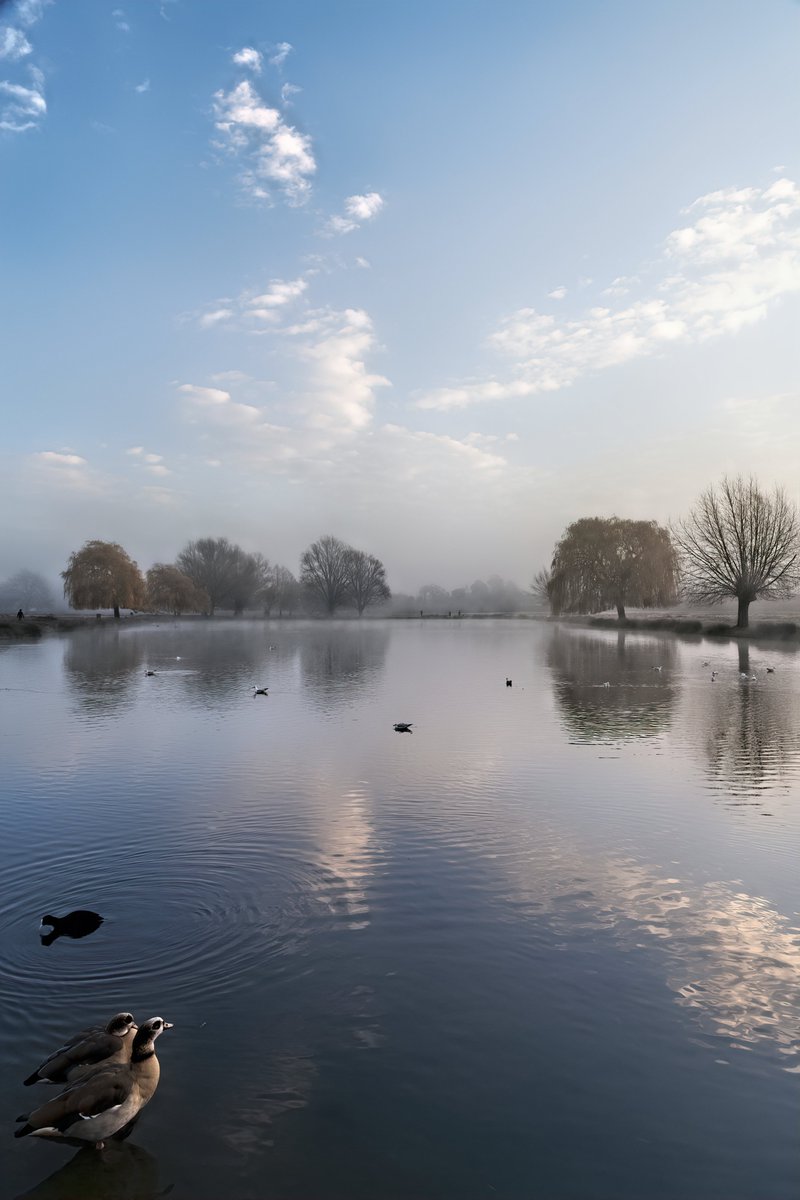 John Johnston tweet media