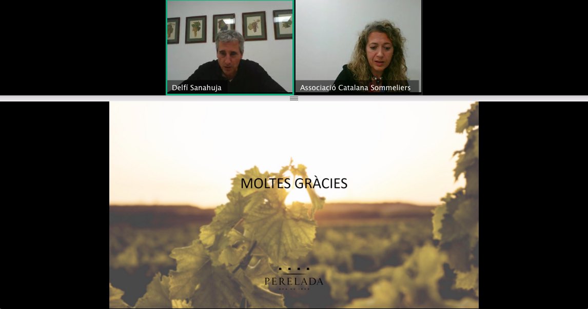 A.C.Sommeliers tweet media