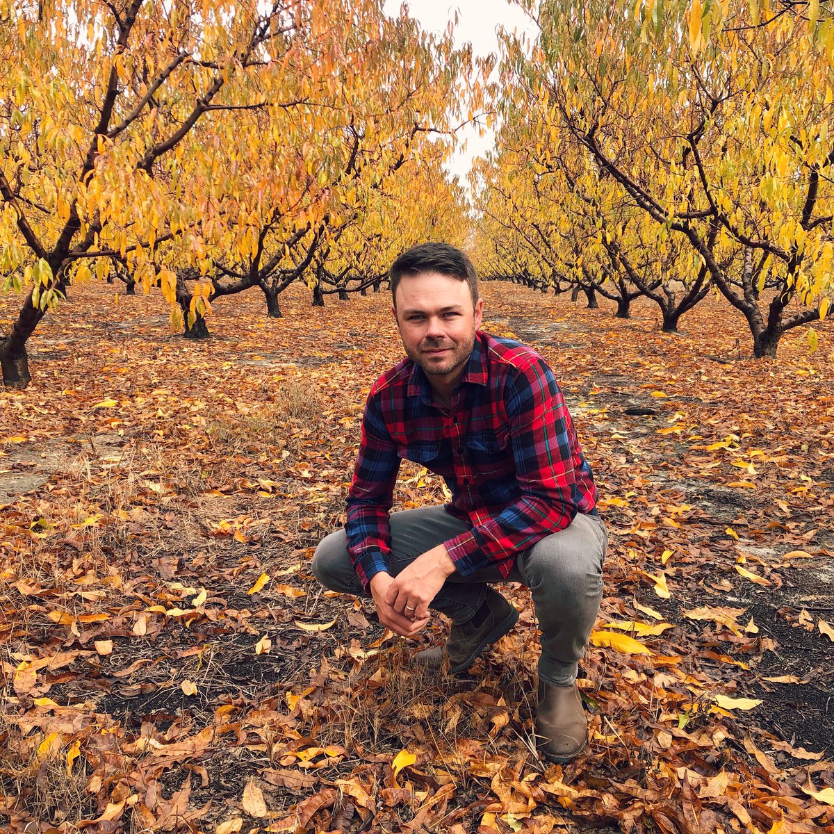 Living the farm life &amp; writing some new tunes. 🍑 🍁  Looking forward you sharing ‘em with ya!  #farmlife #countrymusic