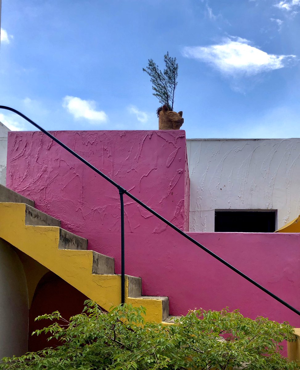 danielsesma1's tweet photo. “No hagan lo que yo hice, vean lo que yo vi”
Luis Barragán ,Casa Franco https://t.co/AA9jsXX8JF