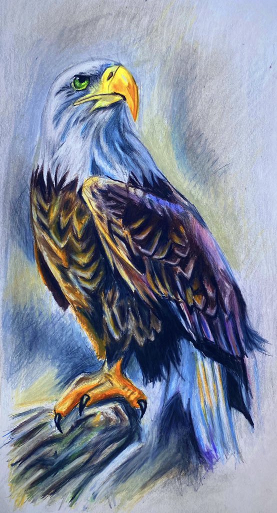 #baldeagle #prismacoloredpencils #request #drawing #ArtistOnTwitter #natureart #baldeagleart #baldeagledrawing #eagle #eagleart #eagledrawing #portrait #animalportrait #birdart #animalart #animaldrawing #prismacolorart #comissionart