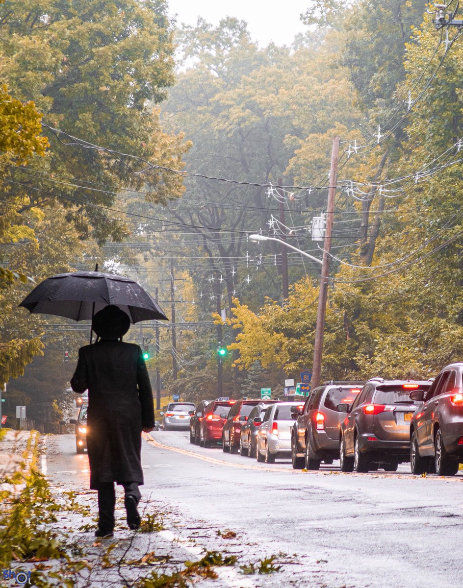 ShotTheDot's tweet photo. Now is that kind of the month.
.
.
#rain #rainyday #rainydays #raindrops #rainphotography #rainphotoshoot #rainphoto #tbt #tbtsummer #photo #photooftheday #photography #umbrella #streetwear #outdoors #outdoorphotography #outside #outdooradventures #streetphotography https://t.co/JAMXesuMdk